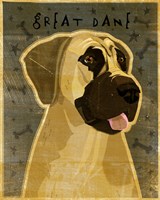 Great Dane 2 Fine Art Print