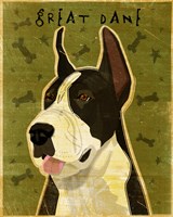 Black Great Dane 1 Fine Art Print