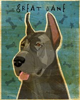 Great Dane Blue Fine Art Print