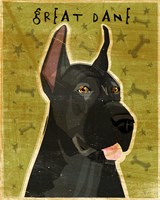 Great Dane 3 Fine Art Print