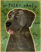 Great Dane 5 Fine Art Print
