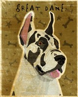 Harlequin Great Dane 1 Fine Art Print