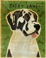 Harlequin Great Dane 2 Fine Art Print