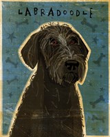 Black Labradoodle Fine Art Print