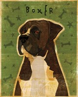 Boxer - Brindle Fine Art Print