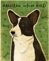 Cardigan Welsh Corgi Fine Art Print