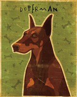 Doberman - Red Fine Art Print