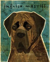 English Mastiff - Brindle Fine Art Print