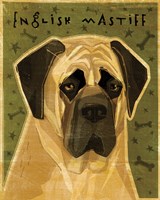 English Mastiff Fine Art Print