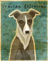 Italian Greyhound - White and Grey Fine Art Print