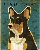 Pembroke Welsh Corgi - Tri-Color Fine Art Print