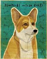 Pembroke Welsh Corgi Fine Art Print