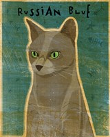 Russian Blue Framed Print