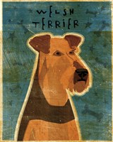 Welsh Terrier Fine Art Print