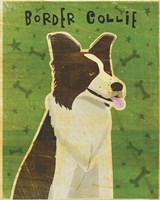 Border Collie Fine Art Print