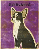 Chihuahua (black and white) Fine Art Print