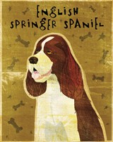 English Springer Spaniel Fine Art Print