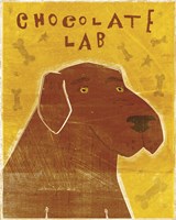 Lab (chocolate) Fine Art Print