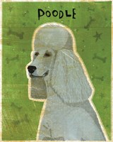 Poodle (grey) Fine Art Print