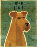 Irish Terrier Fine Art Print