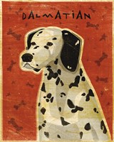 Dalmation by John W. Golden - various sizes, FulcrumGallery.com brand