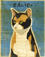 Calico Framed Print