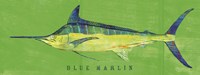 Blue Marlin Fine Art Print