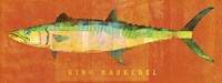 King Mackerel Framed Print