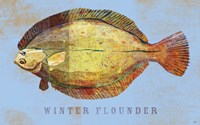 Winter Flounder Fine Art Print