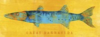 Great Barracuda Framed Print