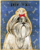 Shih Tzu Fine Art Print