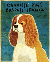 Cavalier King Charles (Blenheim) Fine Art Print