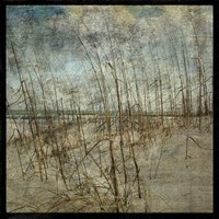 Masonboro Island No. 6 Fine Art Print