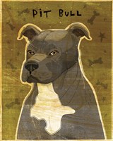 Pit Bull (Gray) Fine Art Print
