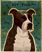 Pit Bull (Brindle) Framed Print