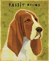 Basset Hound Fine Art Print