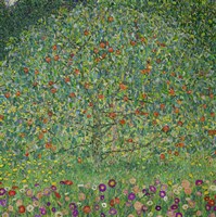 Apple Tree  I, 1912 Fine Art Print
