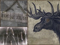 Moose Fine Art Print