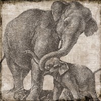 Elephant 2 Framed Print