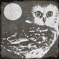Owl 3 Fine Art Print