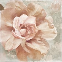 Petals Impasto I Framed Print