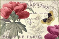 Petals of Paris V Fine Art Print