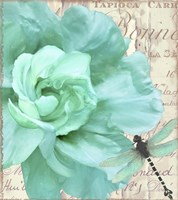 Petals Impasto III Fine Art Print