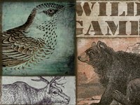 Cabela II Fine Art Print