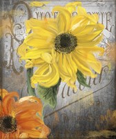 Sunflower Studio Fine Art Print