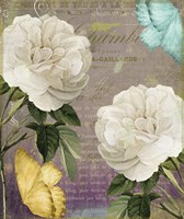 White Roses Fine Art Print