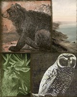 Cabela III Fine Art Print