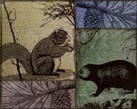 Locked and Loaded V Framed Print