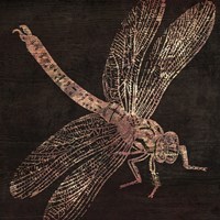 Dragonfly by Color Bakery - various sizes, FulcrumGallery.com brand
