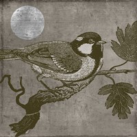 Moon Bird Framed Print
